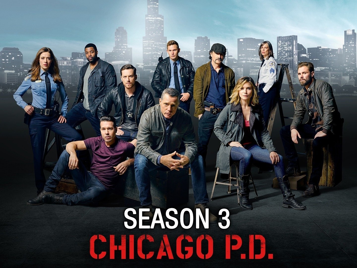 chicago pd 3x19